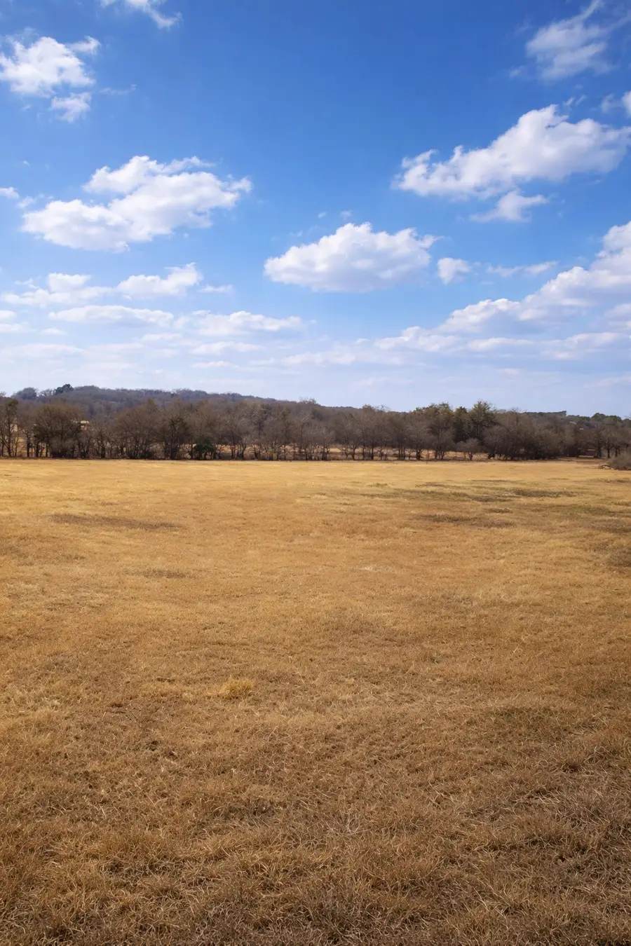 Lot 3 408 County Road 909, Joshua, TX 76058 - #3