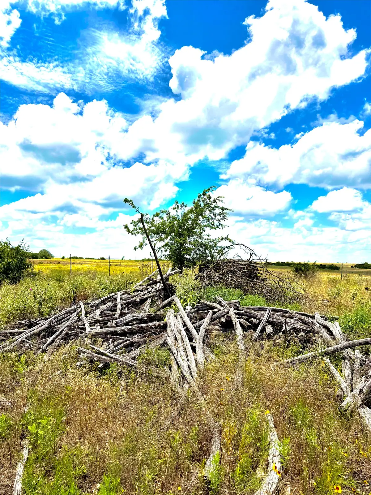 TBD Tract 76 Adobe Hill Drive, Stephenville, TX 76401 - #1