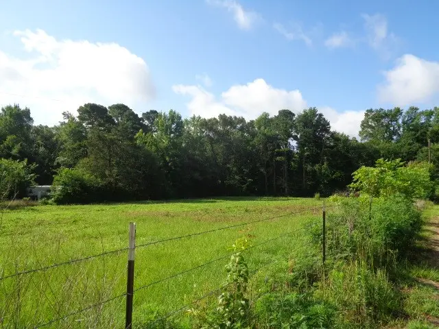 TBD County Road 4568, Quitman, TX 75494 - #2