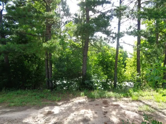 TBD County Road 4568, Quitman, TX 75494 - #3