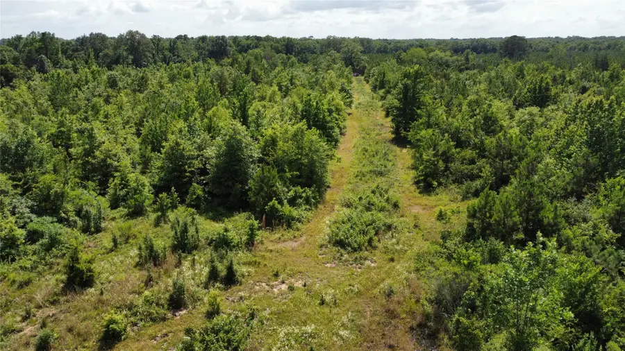 Lot 3 County Road 4507, De Kalb, TX 75559 - #2