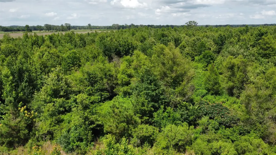 Lot 3 County Road 4507, De Kalb, TX 75559 - #3