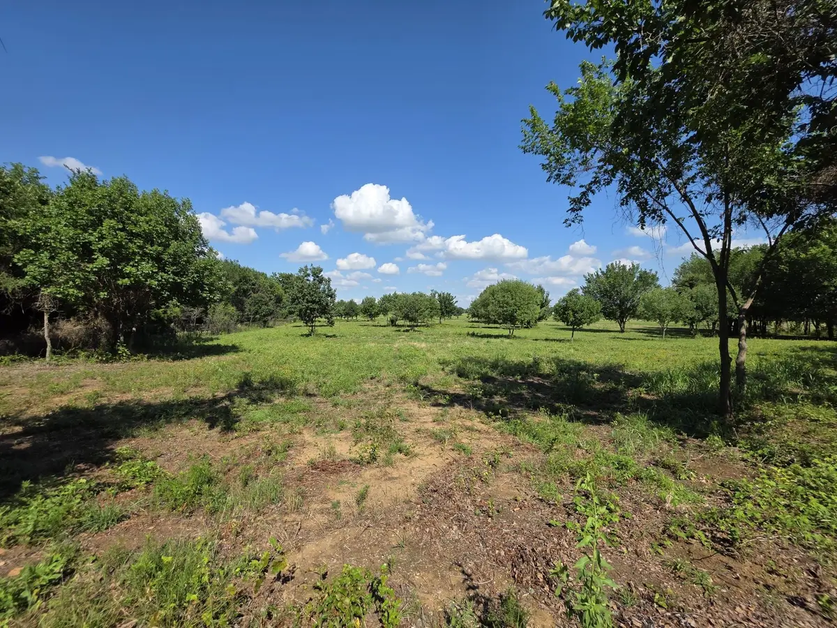 TBD Naylor Road, Oak Point, TX 75068 - #1