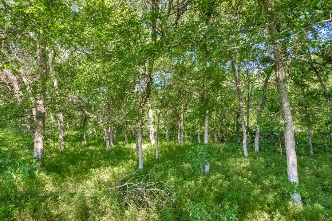TBD Brockdale Park Road, Lucas, TX 75002 - #1