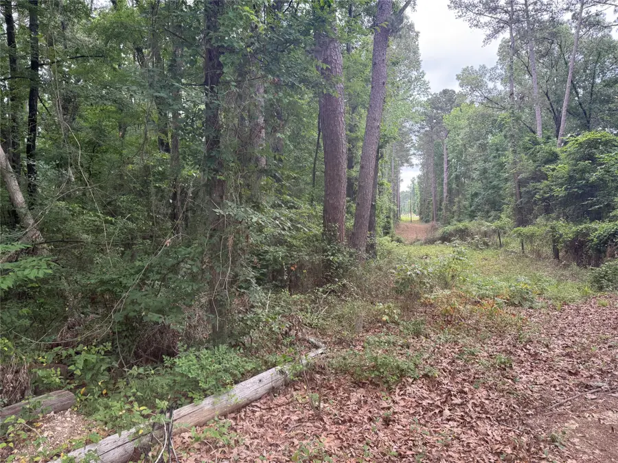 0 Diamond T Road, Heflin, LA 71039 - #2
