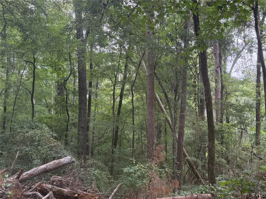 0 Diamond T Road, Heflin, LA 71039 - #3