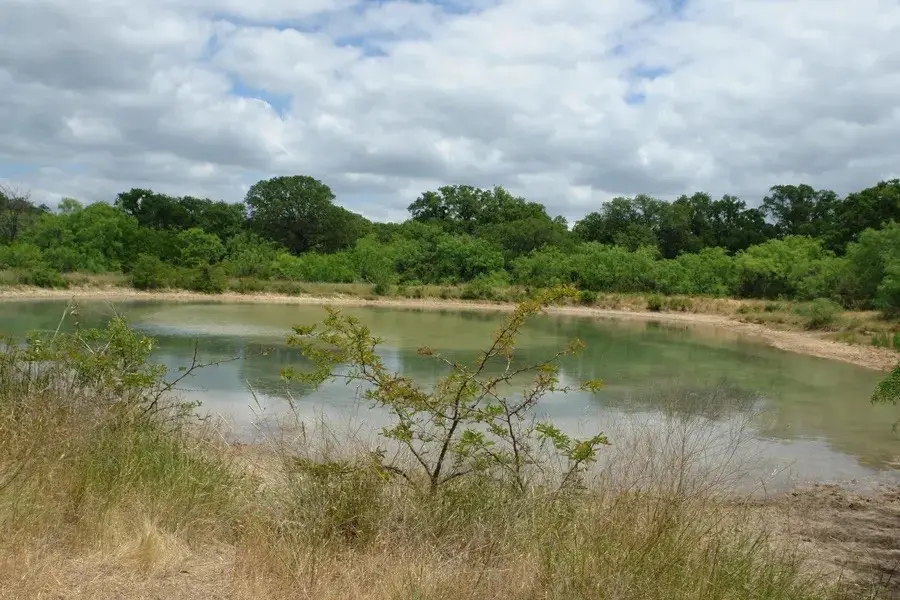 1688 Highway 573, Comanche, TX 76442 - #2