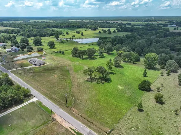 Lot 1 Vz County Road 4607, Ben Wheeler, TX 75754