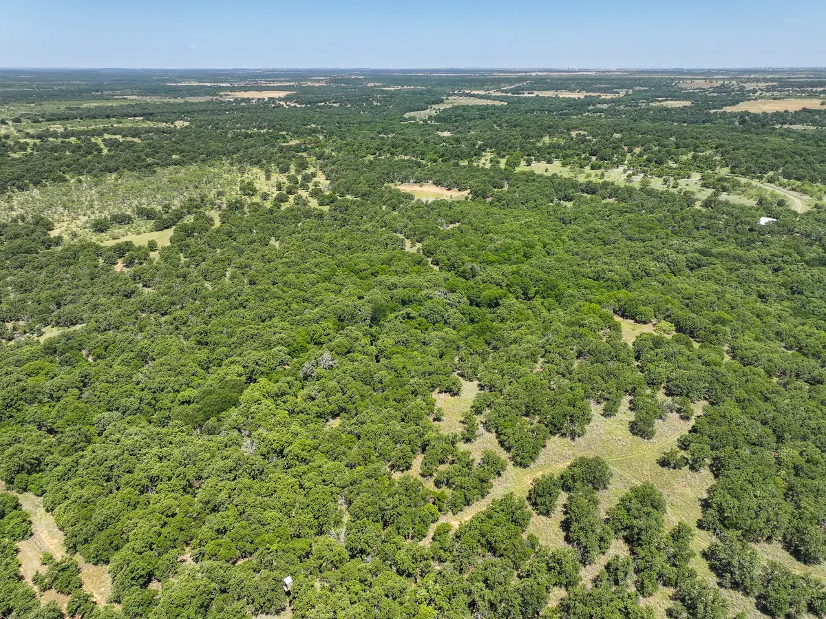18156 Hwy 281 N, Jacksboro, TX 76458 - #1