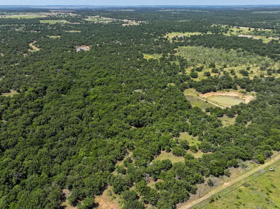 18156 Hwy 281 N, Jacksboro, TX 76458 - #3