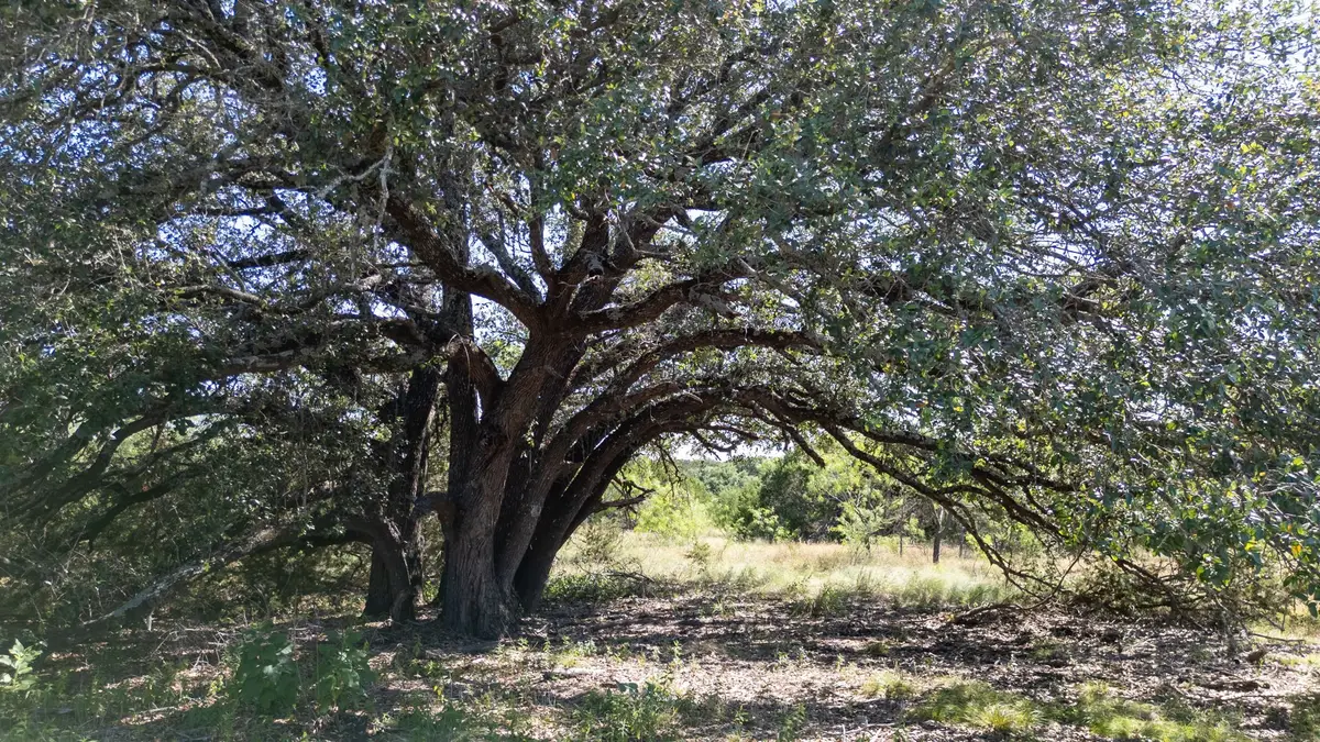 Lot 2 Ph 3 Pr 4218, Evant, TX 76525 - #1