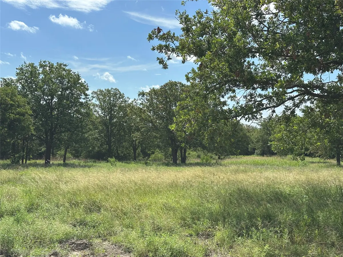 570 Big Salty Lane, Springtown, TX 76082 - #1
