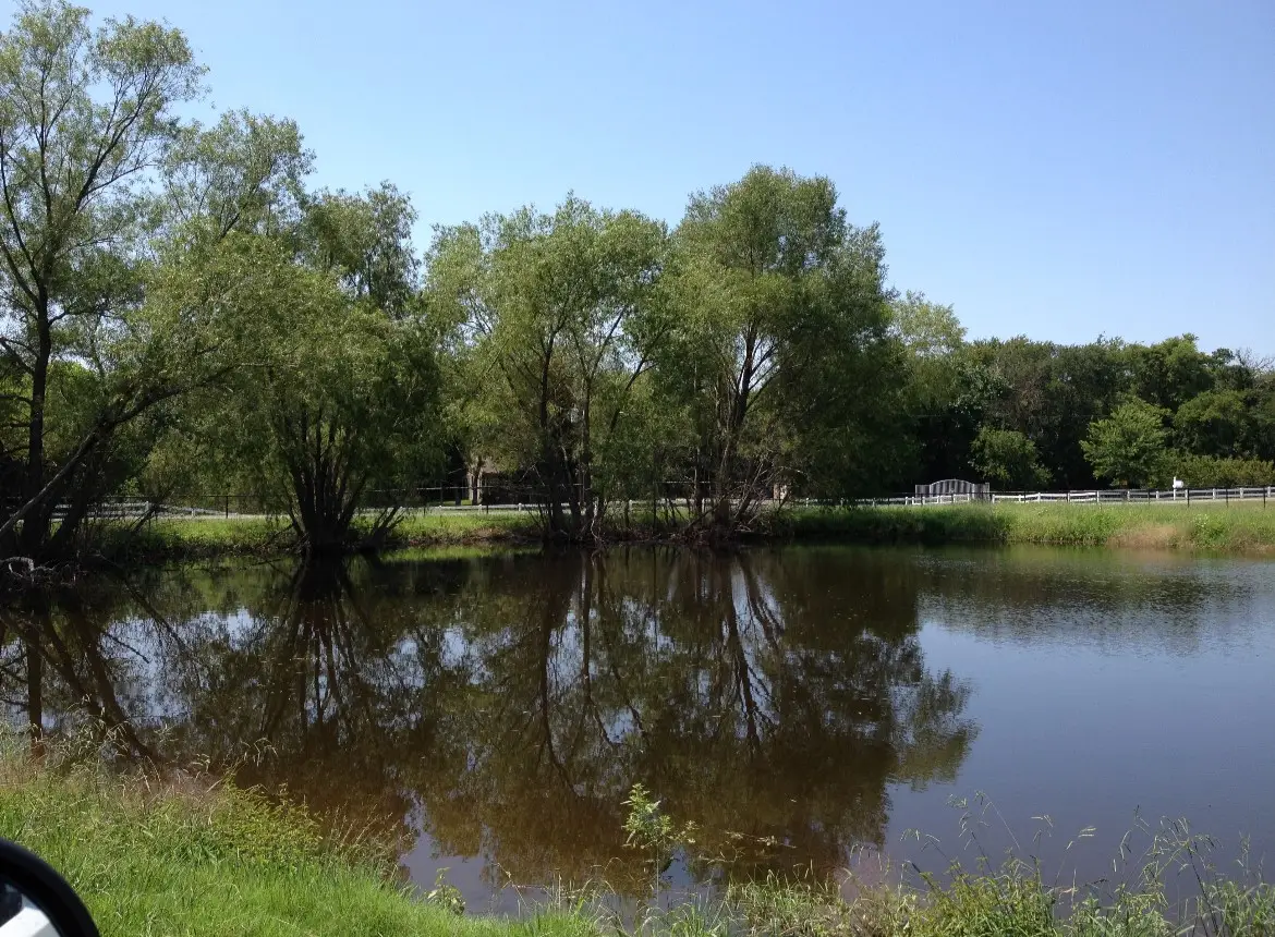 11321 Wild Rose Lane, Anna, TX 75409 - #1