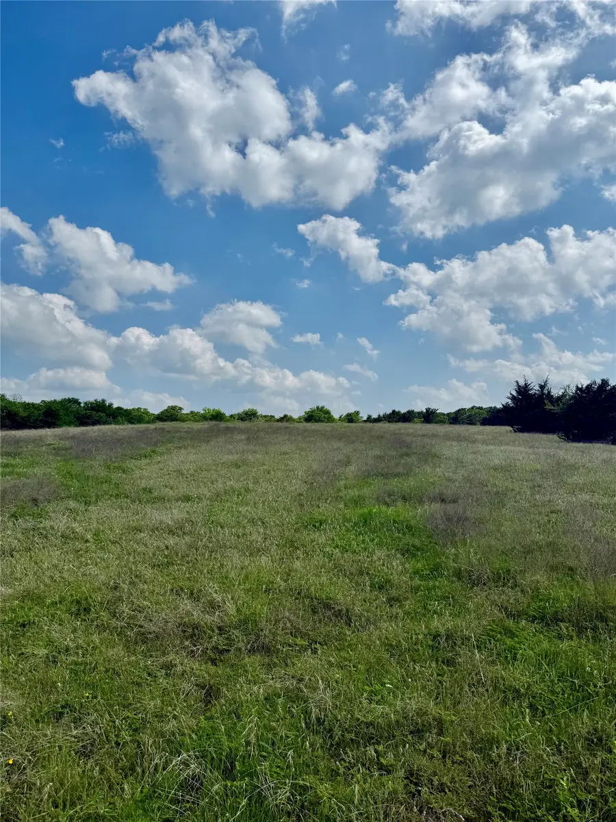 0000 Fm 1752, Savoy, TX 75479 - #3