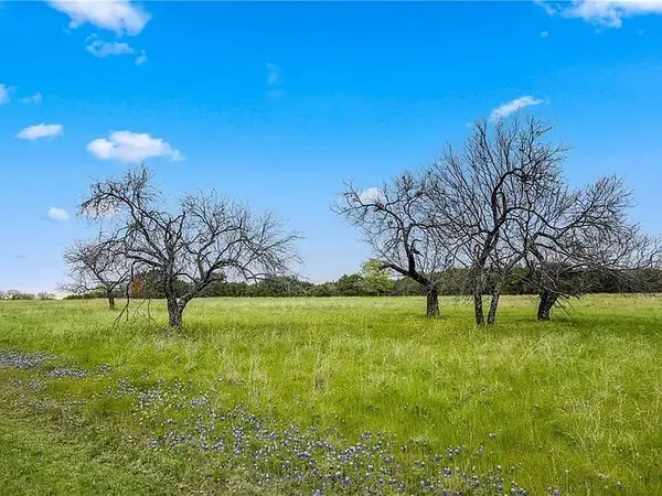 25063 Woodmont Drive, Whitney, TX 76692