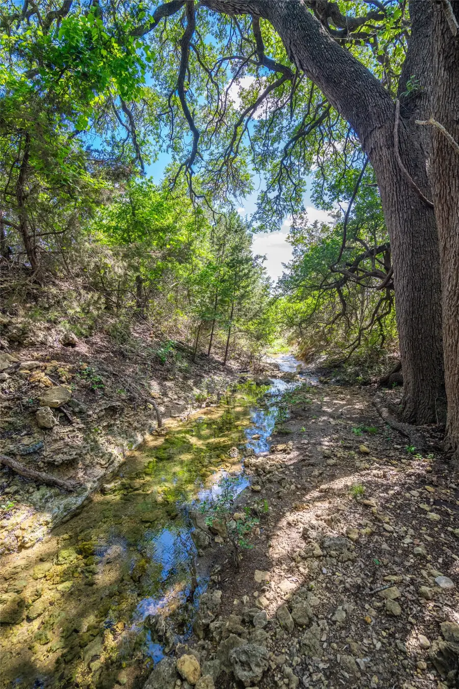 9750 Fm-243, Bertram, TX 78605 - #3
