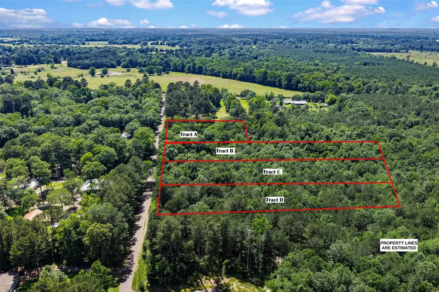 TBD County Rd 3363 #Tract B, De Berry, TX 75639 - #3