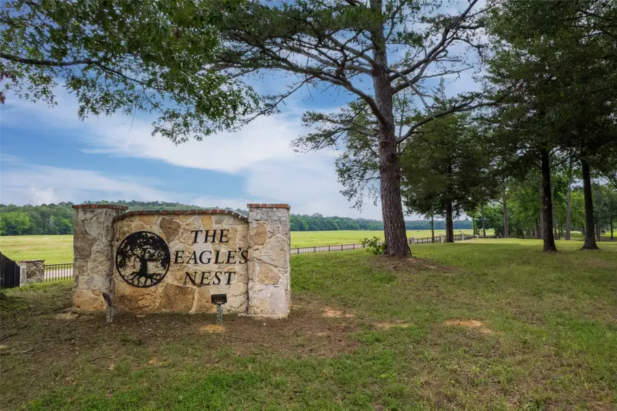 Lot 11 Eagle's Nest Circle, Mount Vernon, TX 75457 - #3