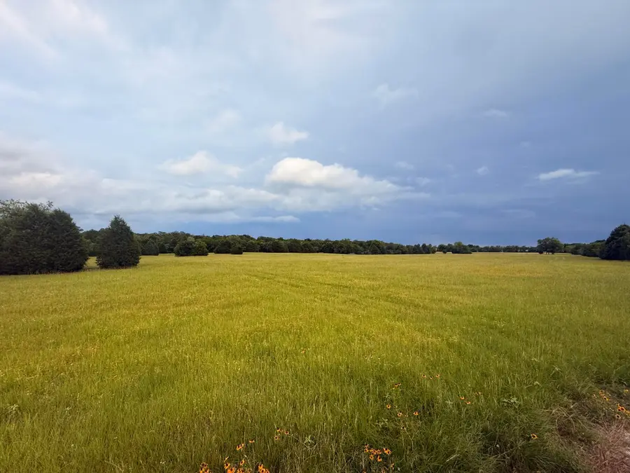 TBD County Road 2500, Eustace, TX 75124 - #2