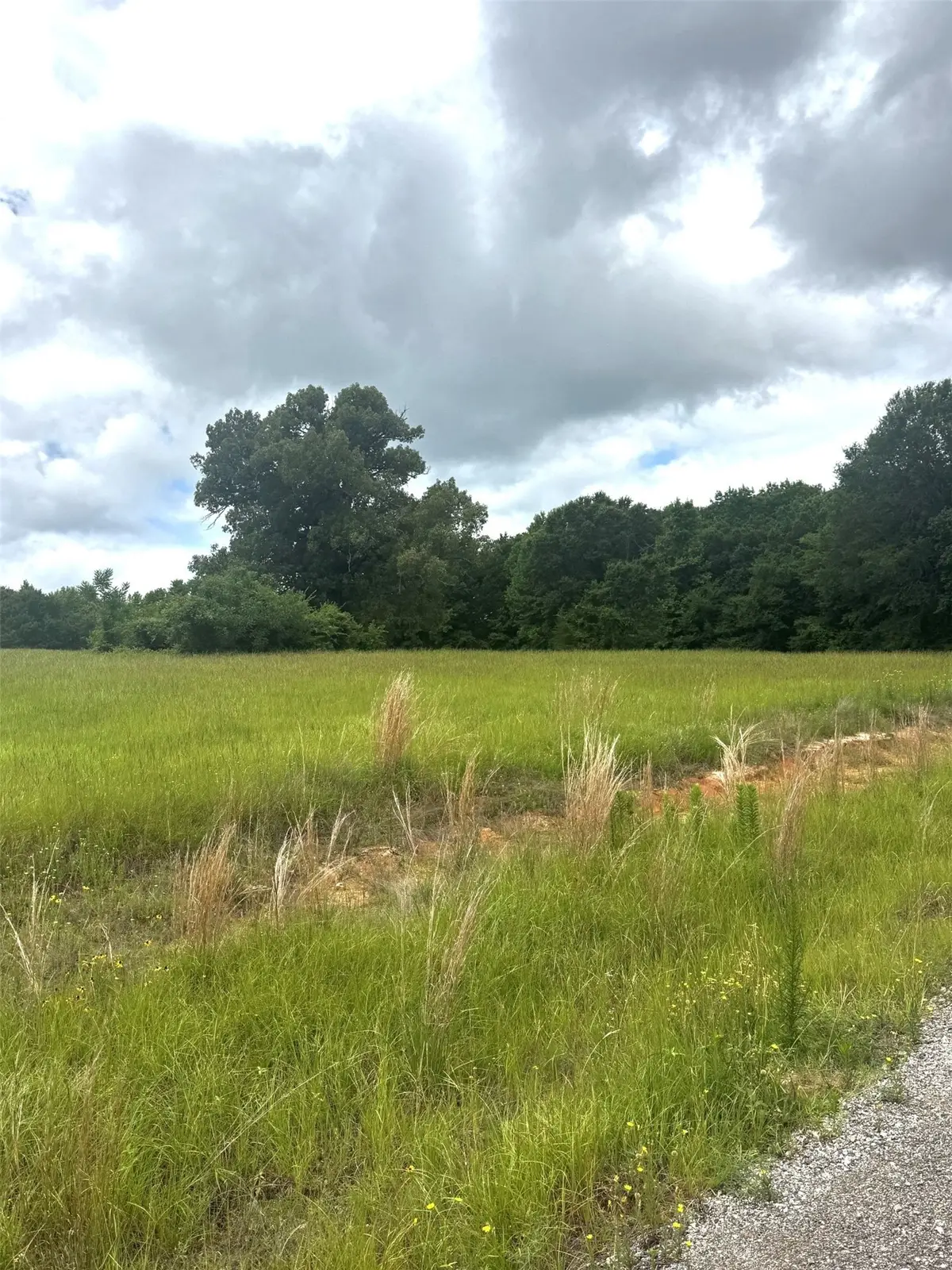 TBD Belles Lane, Brownsboro, TX 75756 - #1