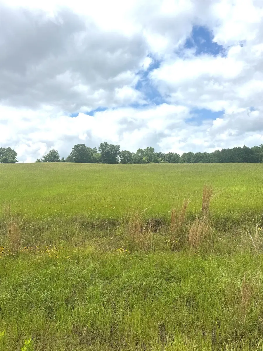 TBD Belles Lane, Brownsboro, TX 75756 - #2