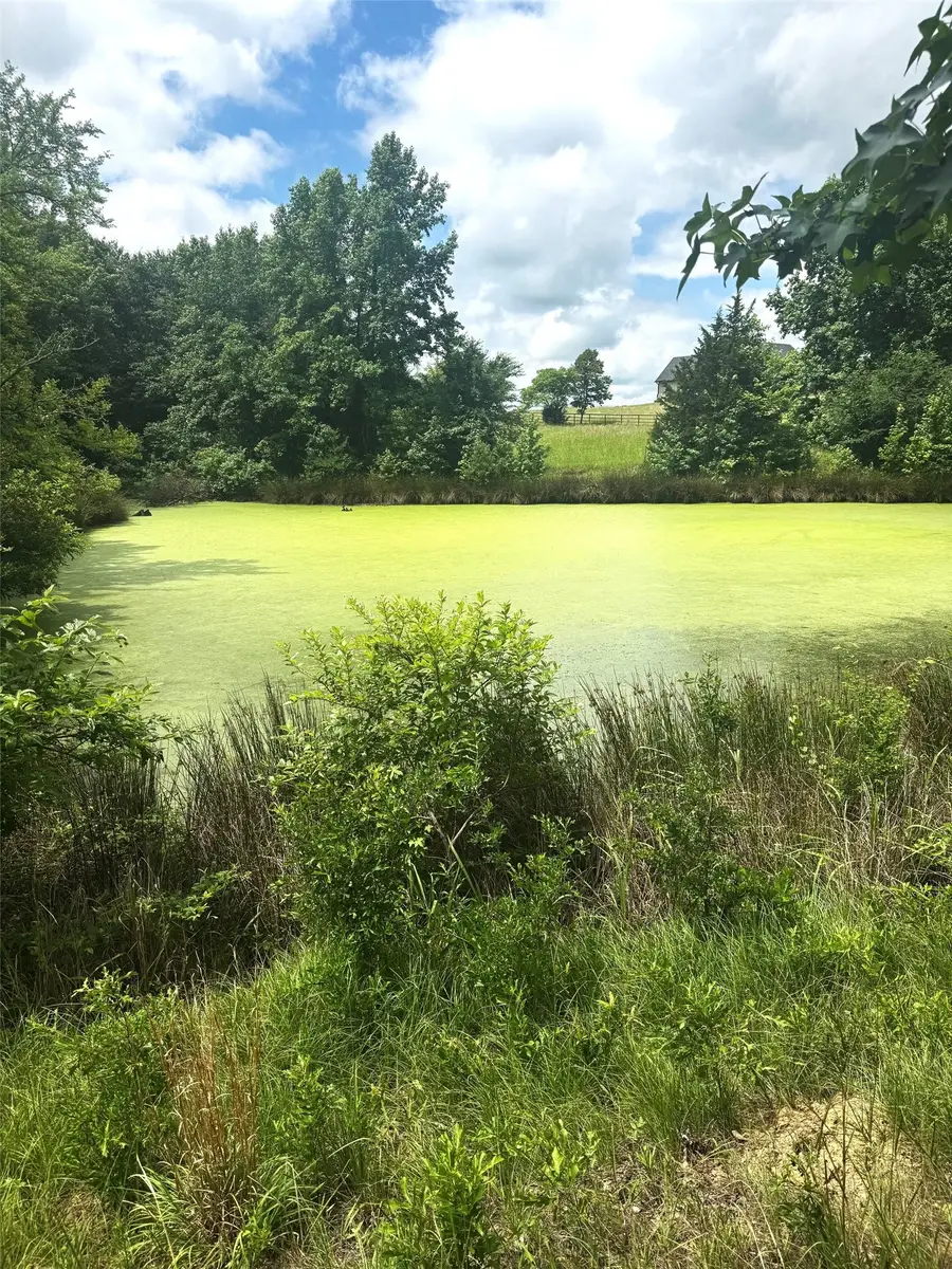 TBD Belles Lane, Brownsboro, TX 75756 - #3