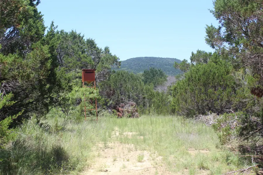 5234 S Fm 4 Road, Palo Pinto, TX 76484 - #3