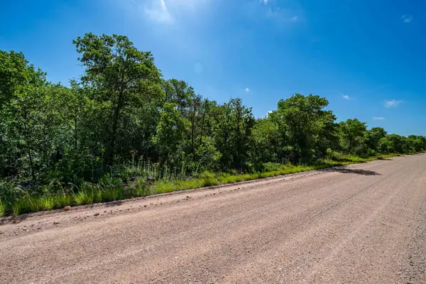 TBD LOT#1 County Road 335, Anson, TX 79501