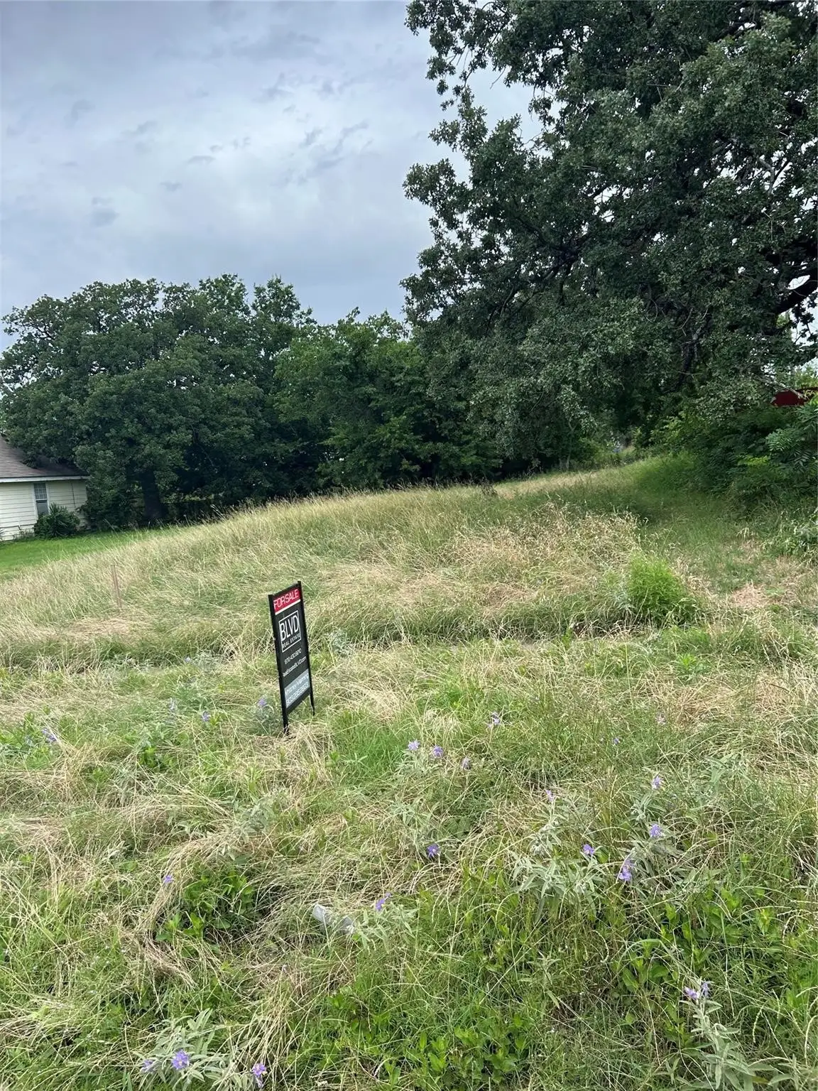 3027 Warren, Dallas, TX 75215 - #1