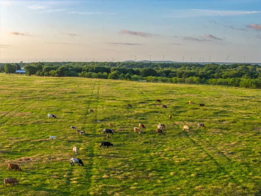 5908 Tx-16, Graham, TX 76450 - #2