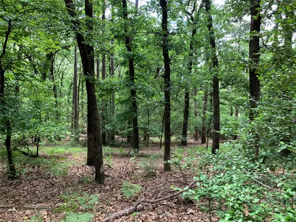 300 & 301 NE Misty Glen Road, Holly Lake Ranch, TX 75765