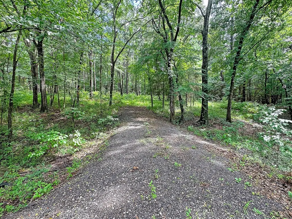 7485 County Road 3907, Athens, TX 75752 - #1