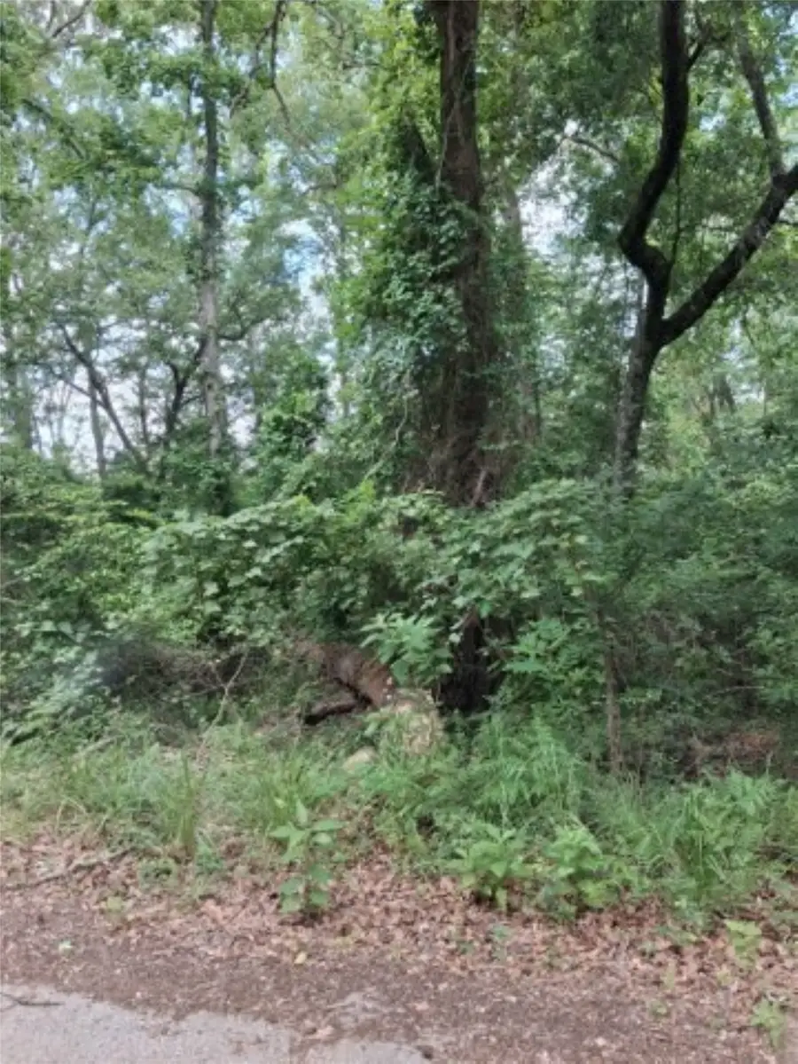 tbd Dogwood Drive, Murchison, TX 75778 - #2