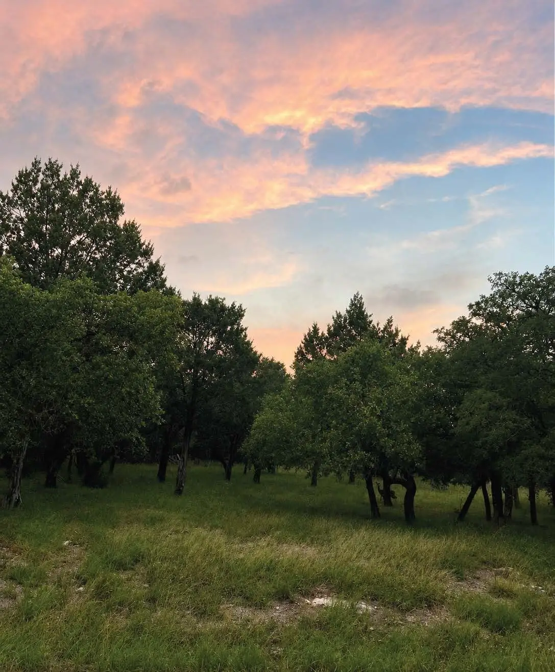 Lot K14011 Mountain Dew, Horseshoe Bay, TX 78657 - #1