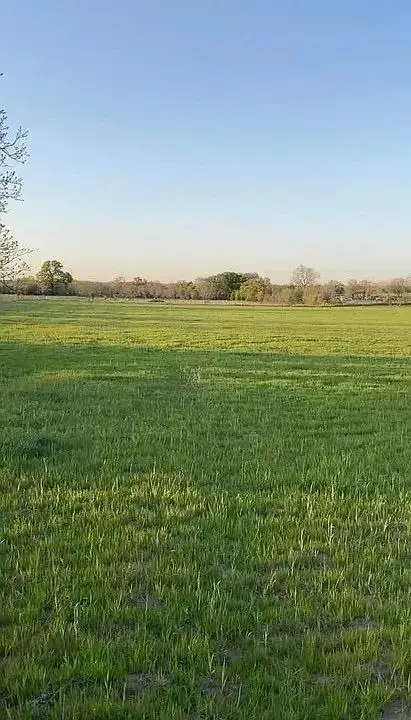 Lot 6 County Road 3424 Corner, Bridgeport, TX 76426 - #1