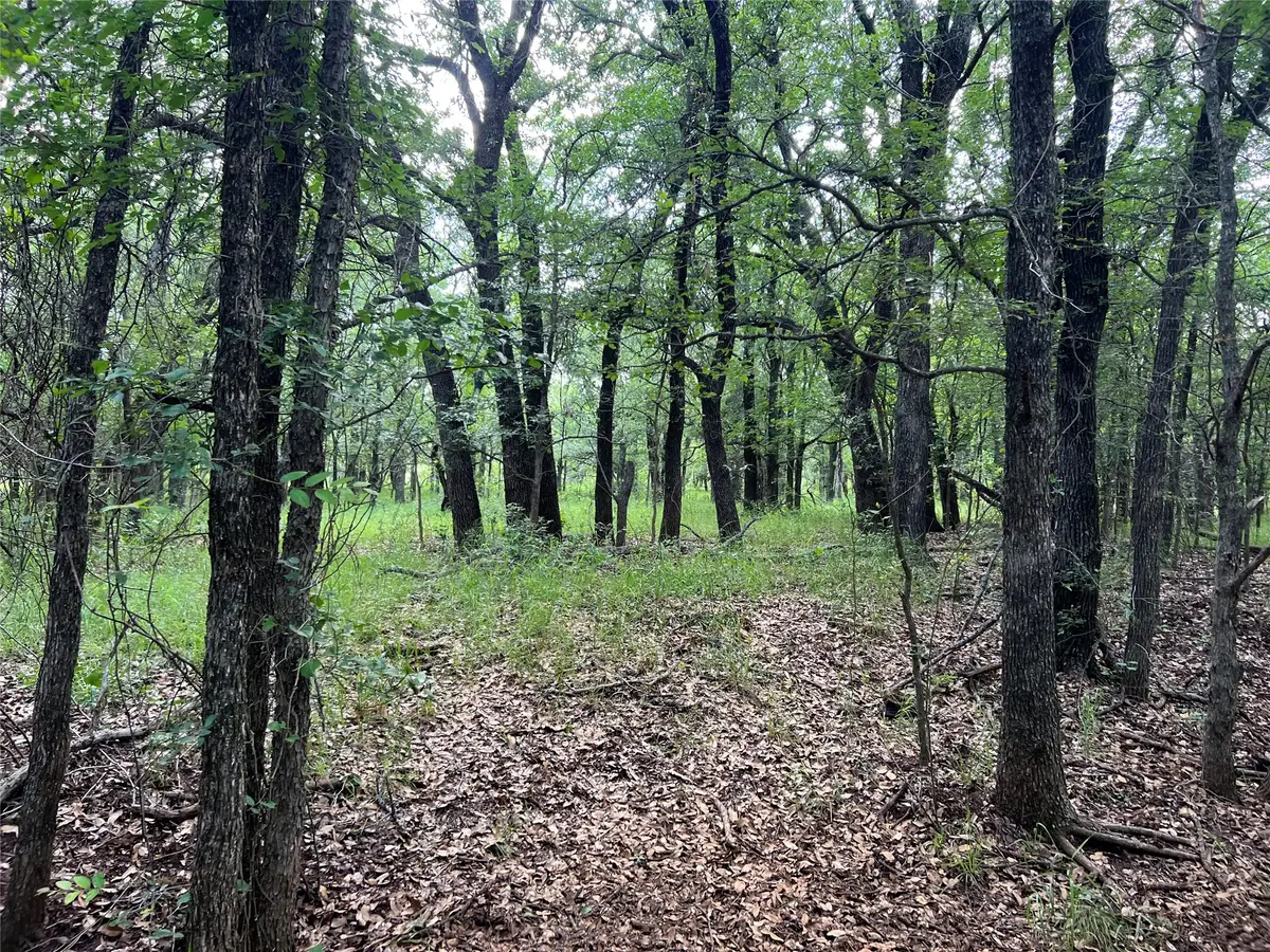 TBD County Road 137 Road, Cisco, TX 76437 - #1