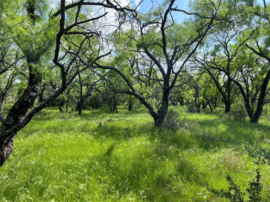 TBD County Road 137 Road, Cisco, TX 76437 - #3