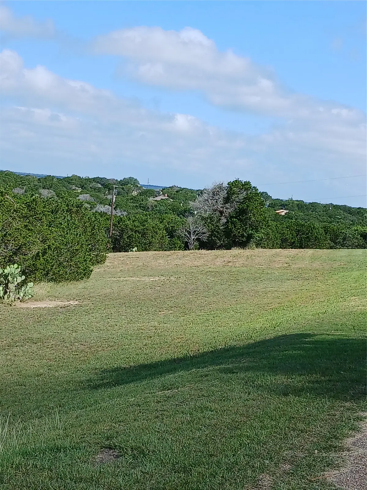 TBD County Road 1539, Morgan, TX 76671 - #1