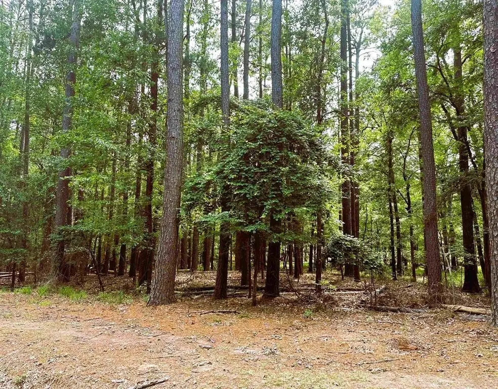 8 Fawns Crossing Dr., Mount Vernon, TX 75457 - #1