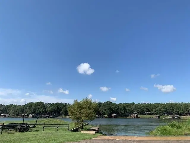 8 Fawns Crossing Dr., Mount Vernon, TX 75457 - #3