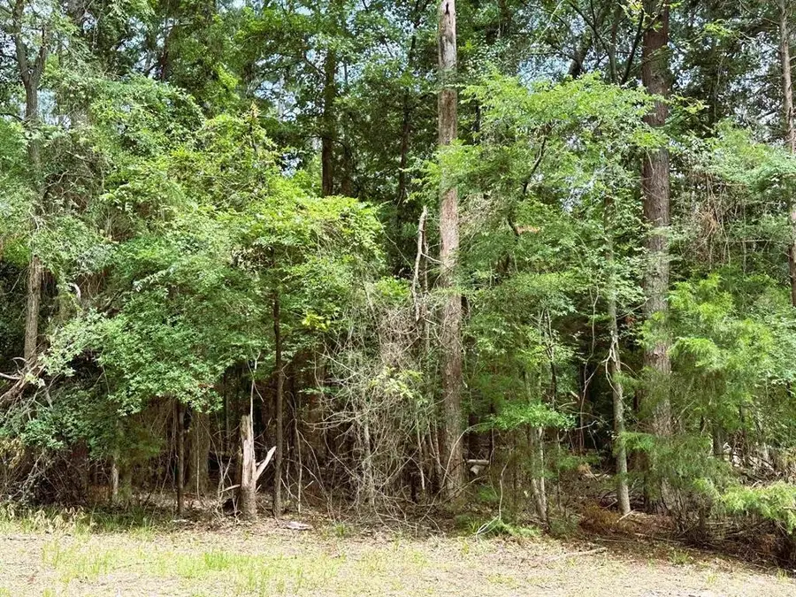 58 Cypress Creek Dr., Mount Vernon, TX 75457 - #2