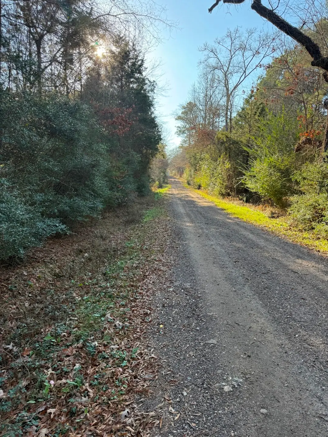 TBD-D County Road 216, Beckville, TX 75631 - #1