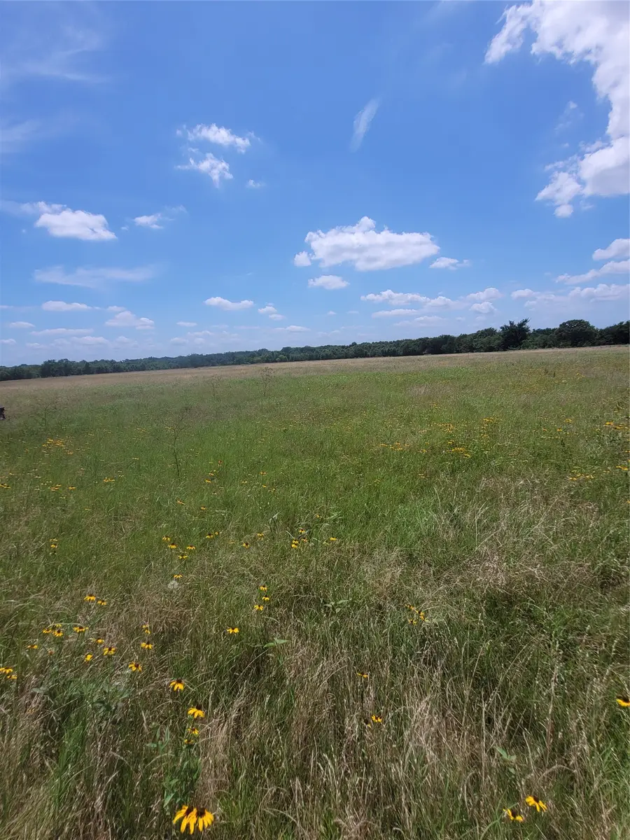 2441 County Road 3512, Dike, TX 75437 - #2