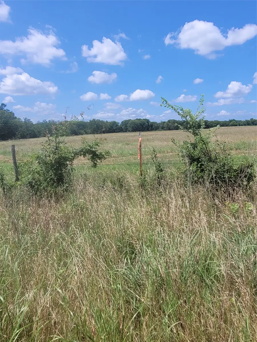 2441 County Road 3512, Dike, TX 75437 - #3