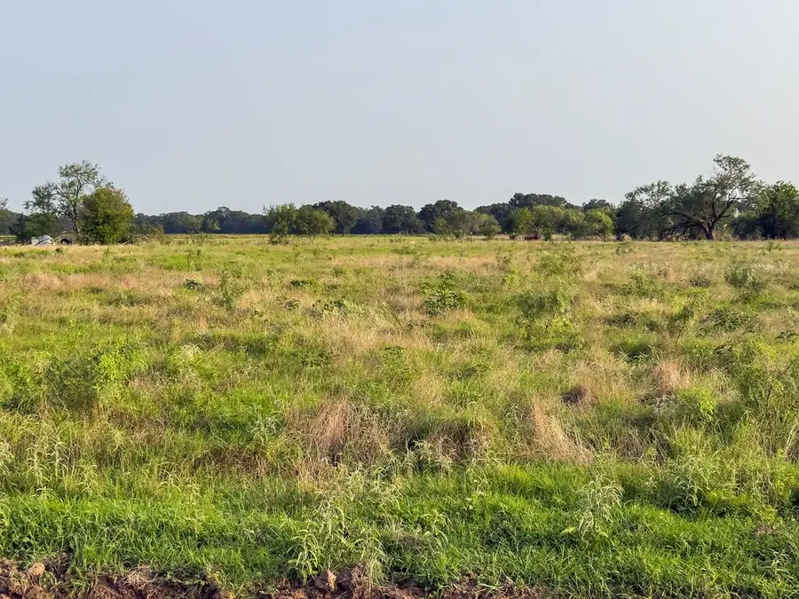LOT 10 Elm Branch, Elm Mott, TX 76640 - #3