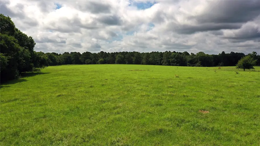 TBD County Road 4090, Kerens, TX 75144 - #2