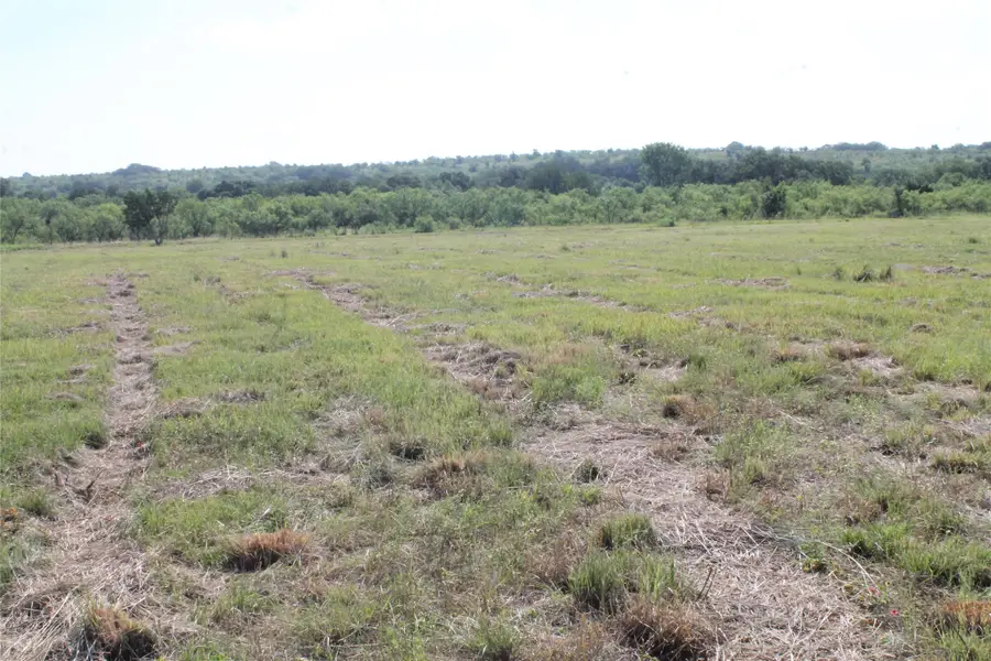 688 Comanche Lake Road, Comanche, TX 76442 - #2
