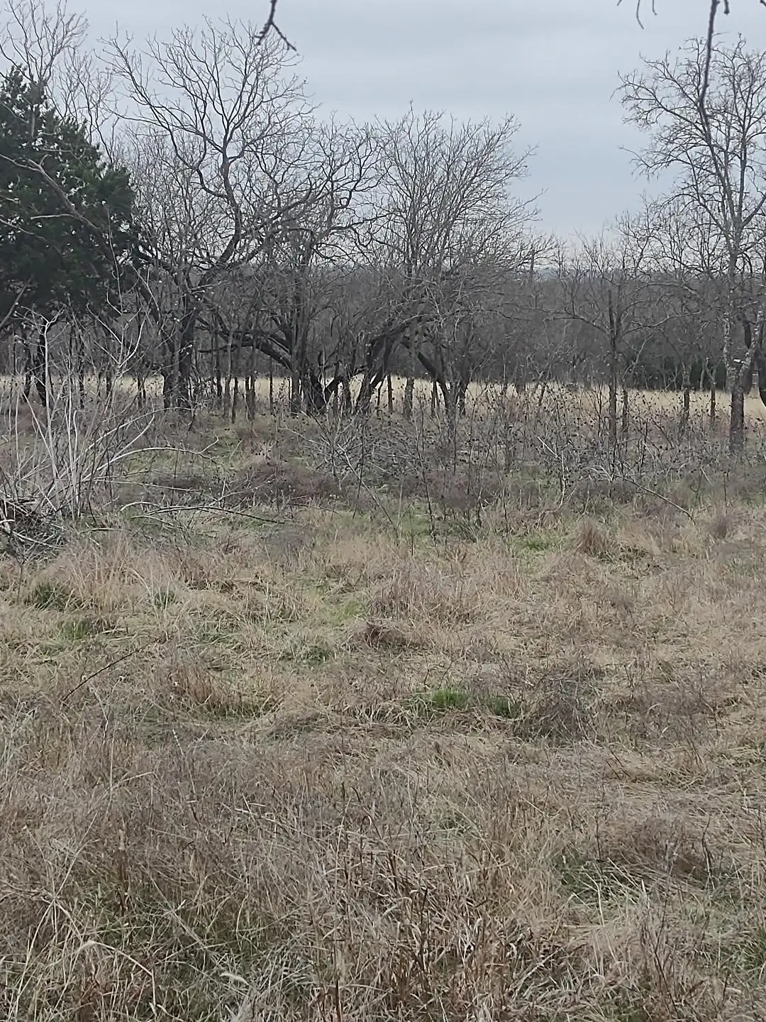 138 Pr 226 Road, Whitney, TX 76692 - #1