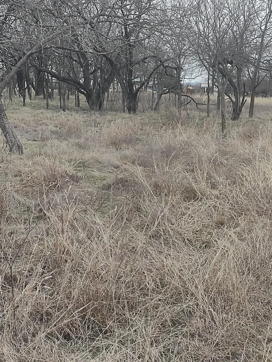 138 Pr 226 Road, Whitney, TX 76692 - #2