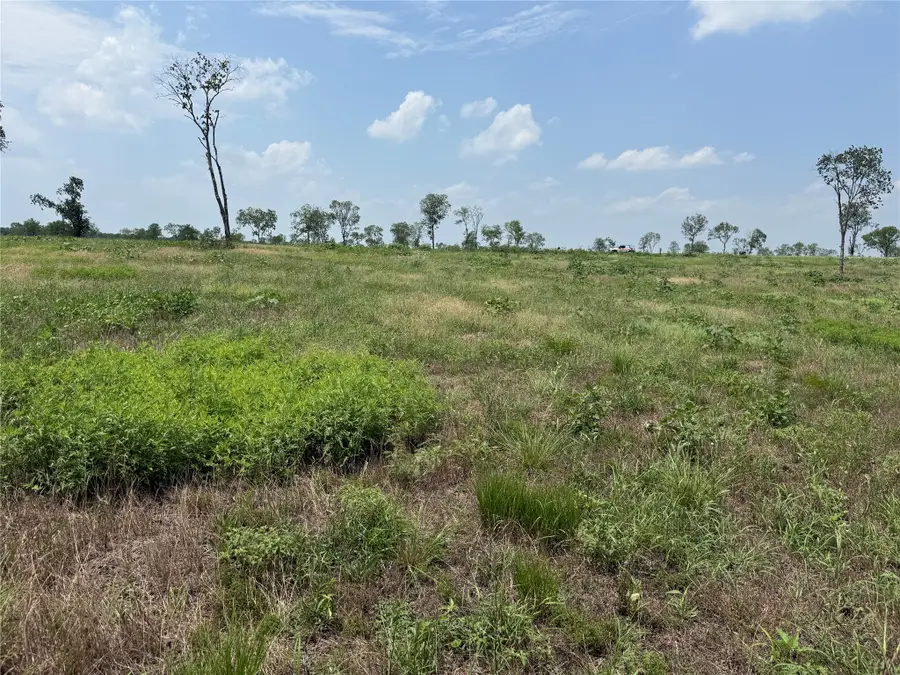 Lot 230 Waterfront Club Drive, Corsicana, TX 75110 - #2